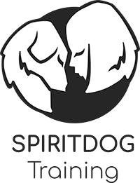 spiritdogtraining.com