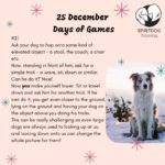 35 December Days of Games