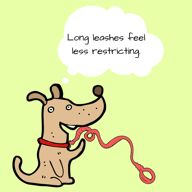 long leashes