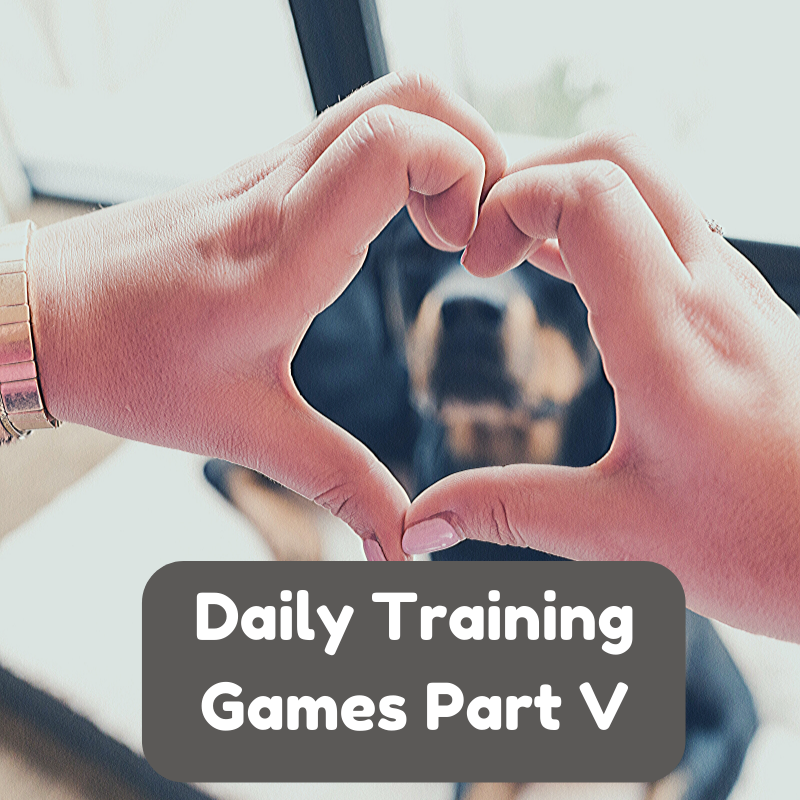 Daily Dog Training Games Part 3 3