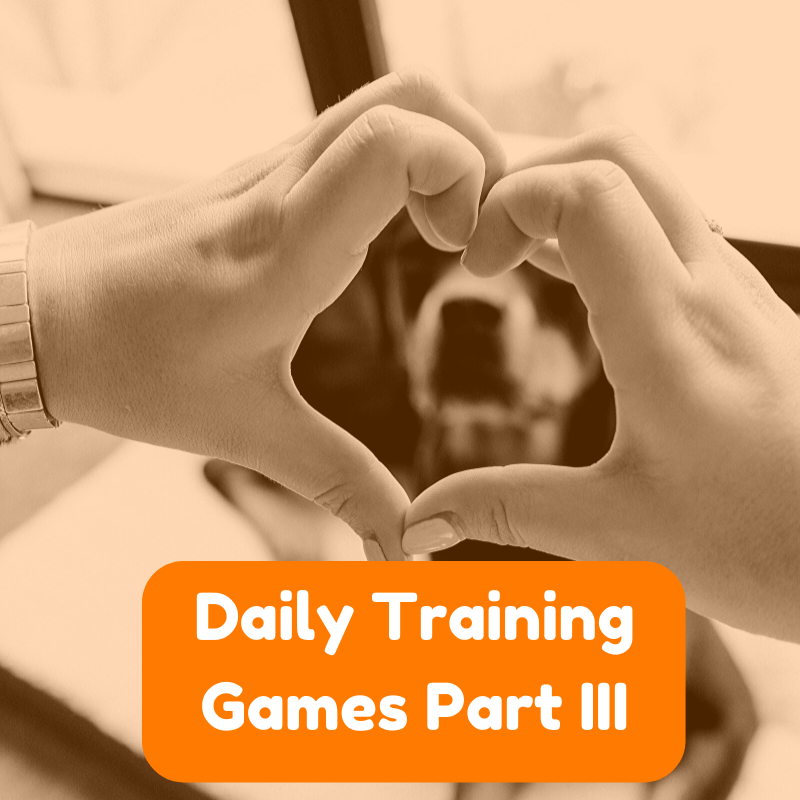 Daily Dog Training Games Part 3