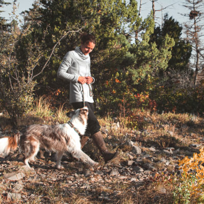 leash_walking_dog