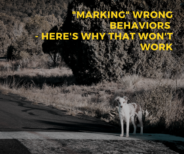 marking  wrong behaviors heres why that wont work