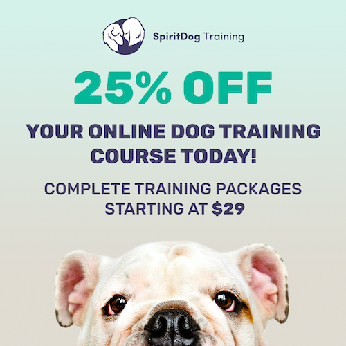 https://spiritdogtraining.com/wp-content/uploads/2021/02/25_off_banner_01_v3.png