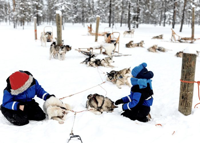 sled dogs with children