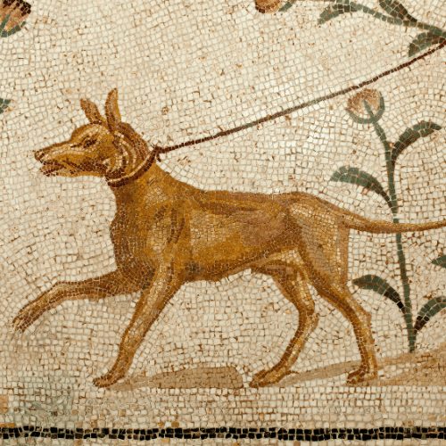 old dog mosaic