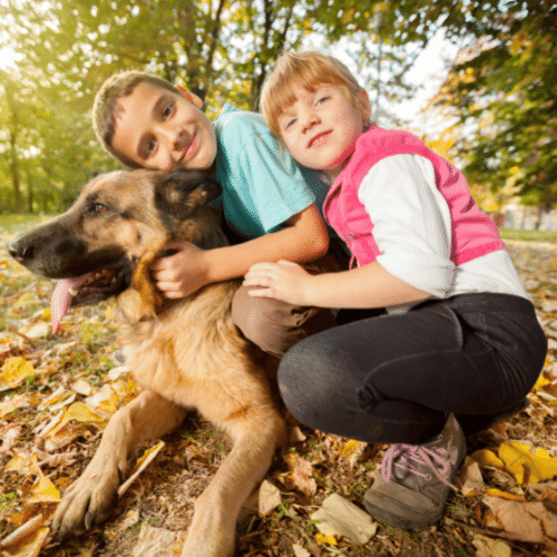 children hugging german shepherd