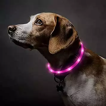 Domi LED Dog Collar