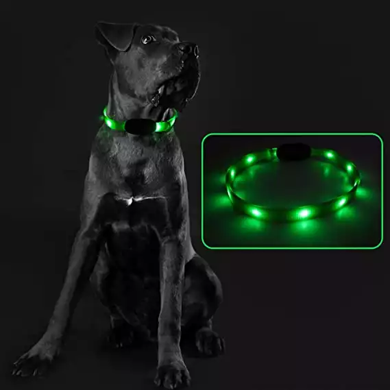 Expawlorer LED Dog Collar