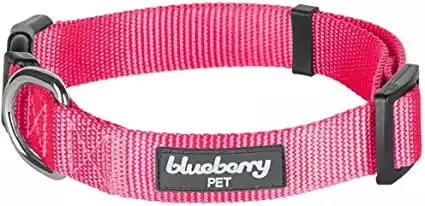 Blueberry Pet Pink Dog Collar
