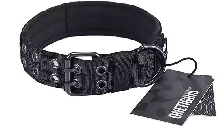 Best tactical dog store collar