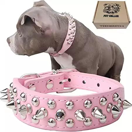 teemerryca Adjustable Microfiber Leather Studded Collar