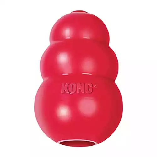 KONG – Classic Dog Toy