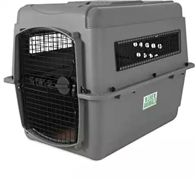 Petmate Sky Kennel Pet Carrier