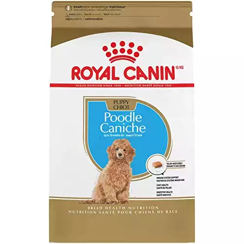 What human food shop can poodles eat