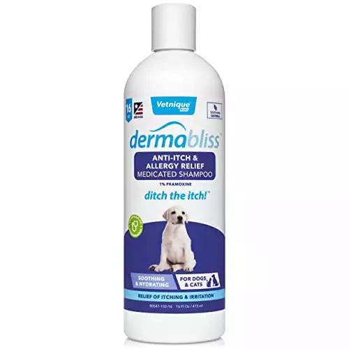 Dermabliss Itch & Allergy Relief Medicated Dog Shampoo