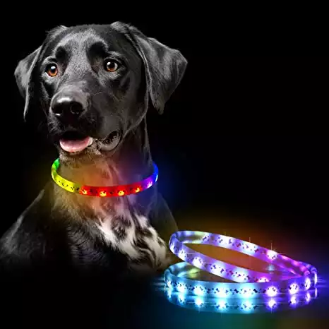 Glowseen LED Dog Collar