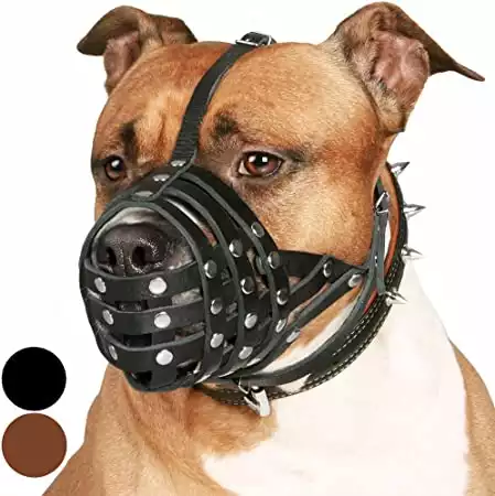 CollarDirect Pitbull Leather Muzzle