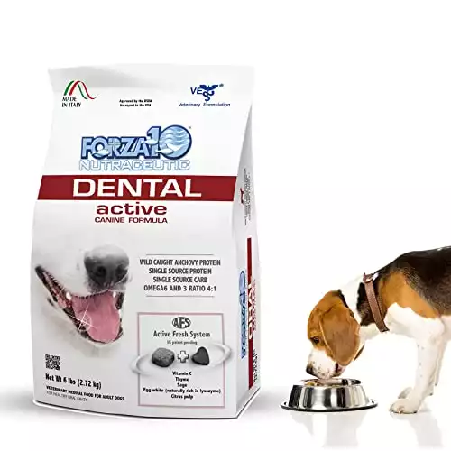 Forza10 Active Oral Care Dog Food