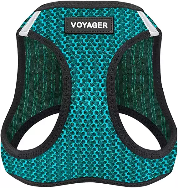 Voyager Step-in Air Harness