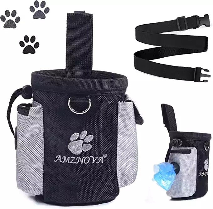 Paw lifestyles treat outlet pouch