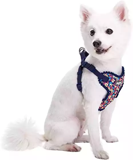 Blueberry Pet Floral No Pull Harness