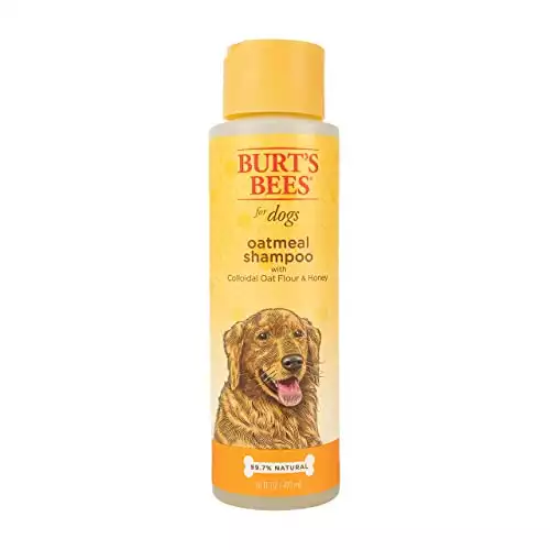 Burt's Bees for Dogs Natural Oatmeal Shampoo for Dogs