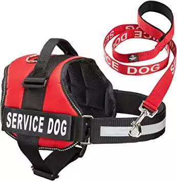 Industrial Service Dog Vest + Leash