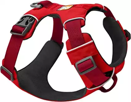 Best harness for outlet pitbulls