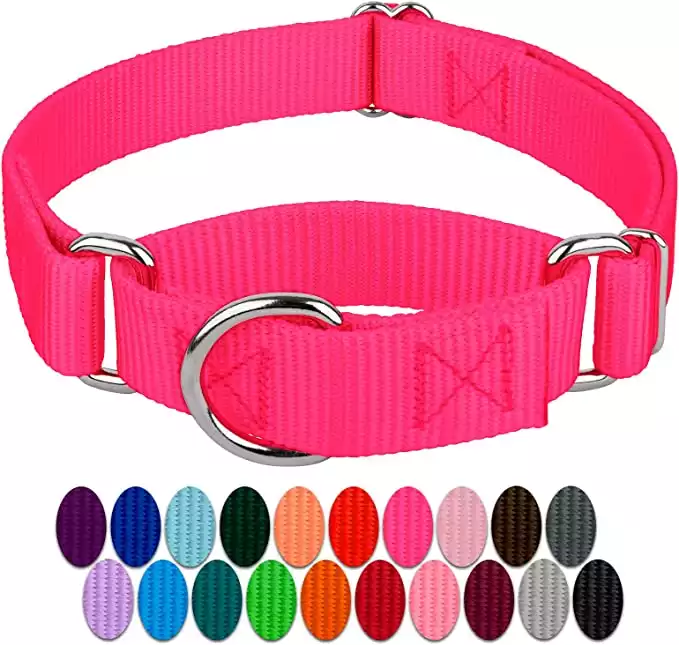 Country Brook Petz Heavy Duty Martingale Collar