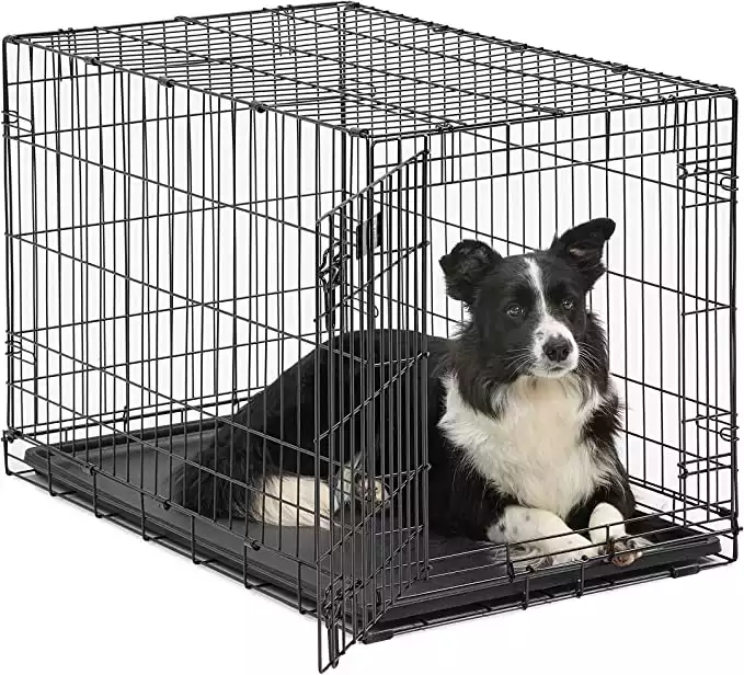 MidWest 36 Inch Folding Metal Dog Crate