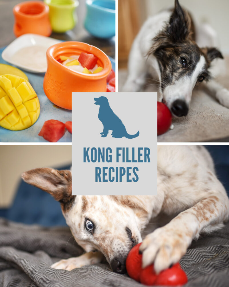 Kong Filler Recipes