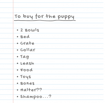 puppy checklist